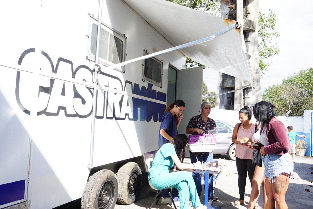 Meio Ambiente e Saúde garantem 148 procedimentos de castração animal