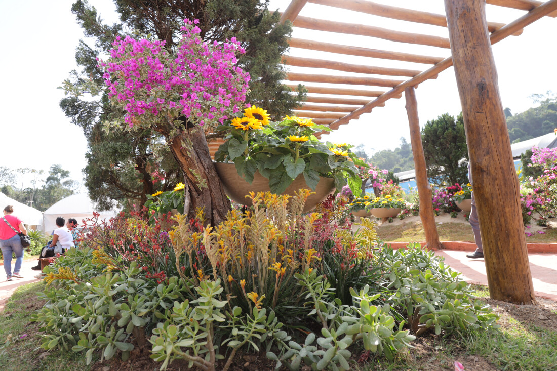 Feira de Flores de Arujá continua neste final de semana