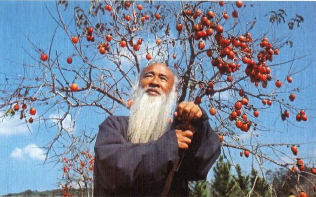 Artista prepara homenagem para pintor chinês reconhecido internacionalmente  