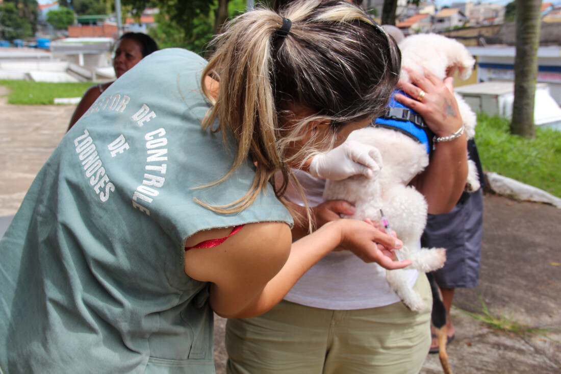 Vacinação antirrábica chega ao Jardim Emília