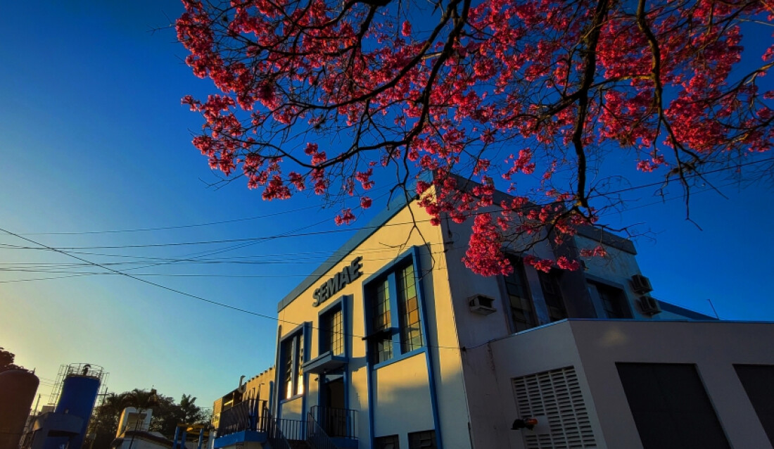 Semae realiza 16,6 mil acordos de pagamento de dívidas