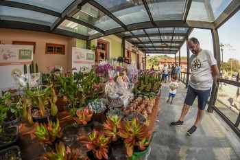 Vila de Luís Carlos se prepara para receber a 4ª edição do Festival Flores e Licores