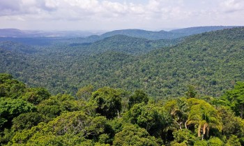 Festivais Dia da Amazônia alertam para defesa dos biomas brasileiros