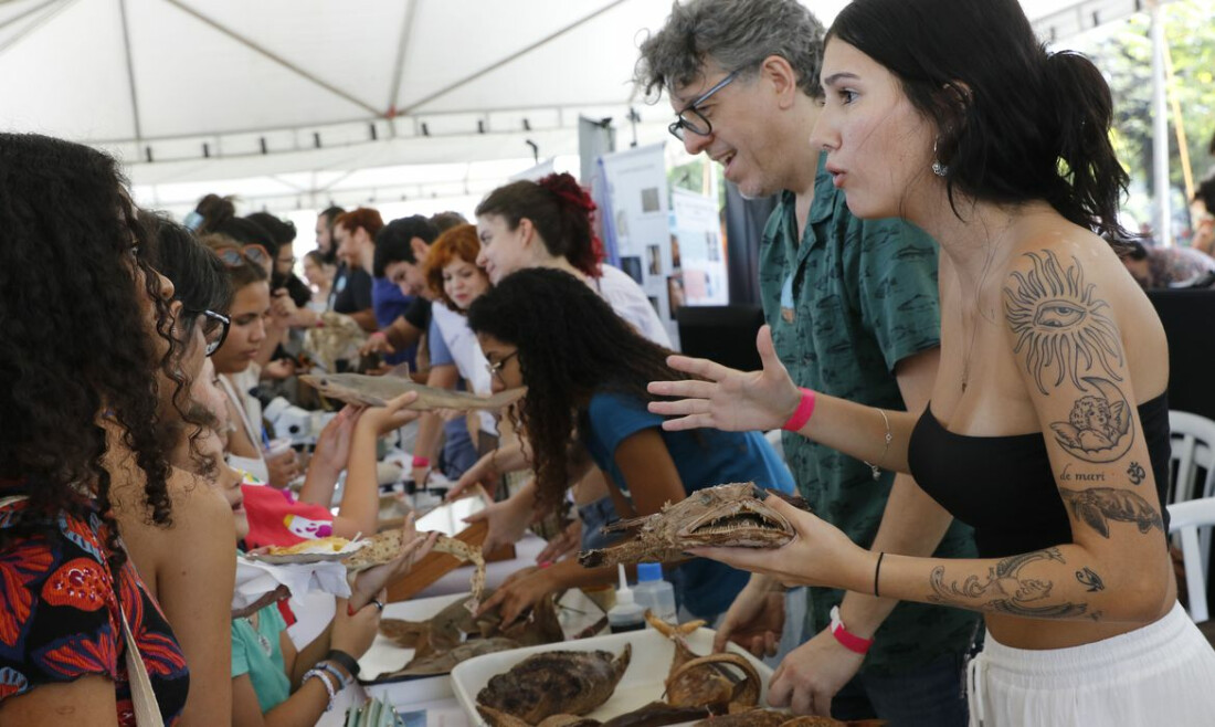 Festival Museu Nacional Vive leva público à Quinta da Boa Vista