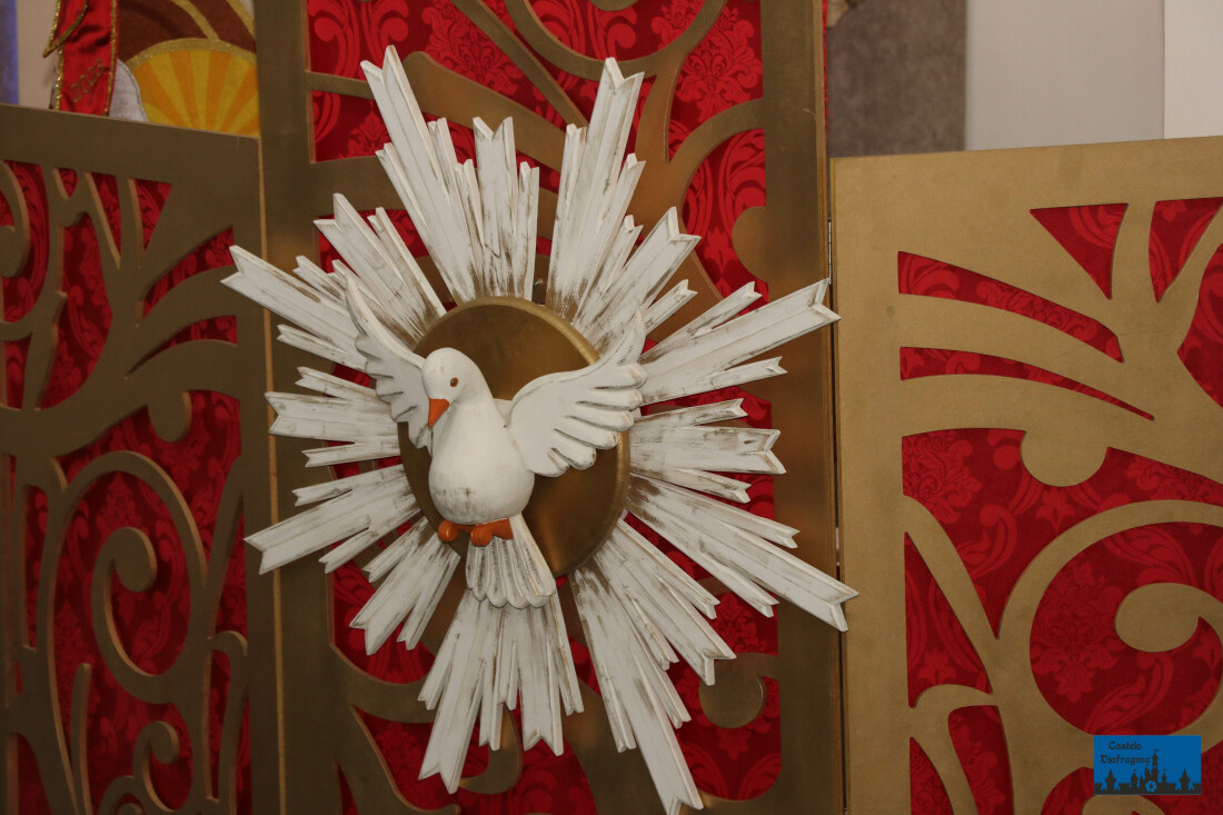 Festeiros do Divino realizam "Ação entre Amigos"