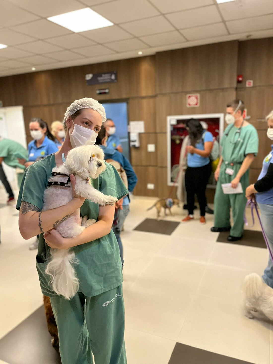 Voluntariado protege cérebro de idosos contra perdas cognitivas
