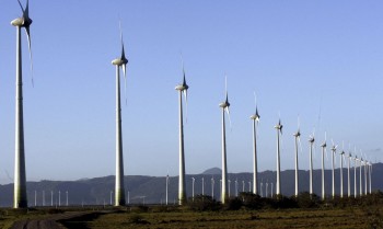 Mesa de diálogo com o governo vai debater energia renovável