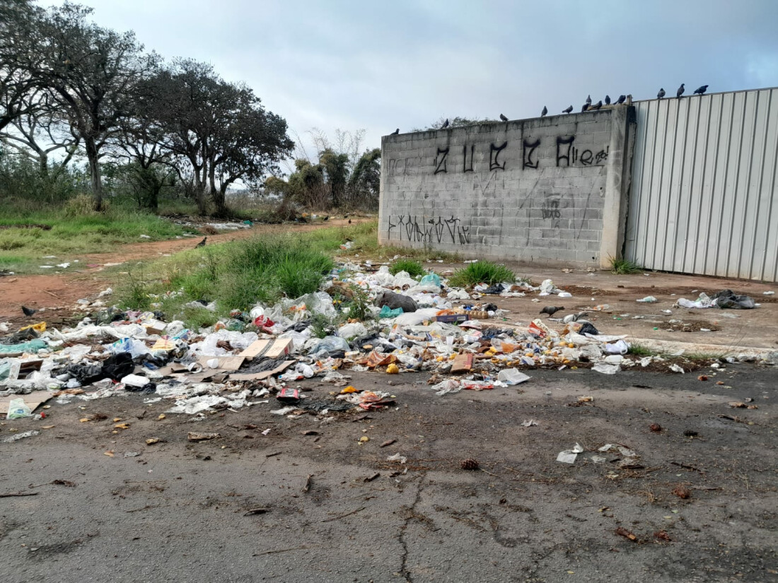 Rua no Jardim Medina acumula lixo, entulho e urubus
