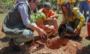 MMA quer evitar licença ambiental de longo prazo no Cerrado