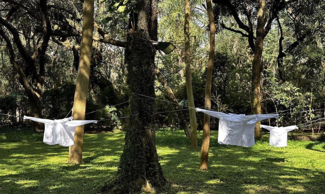 Evento inédito resgata conexão cultural para o Parque do Flamengo