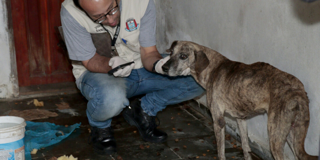 Animais sob maus-tratos são resgatados de casa em Palmeiras