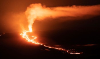 Processo de incêndio no Havaí culpa donos de terra por falta de poda