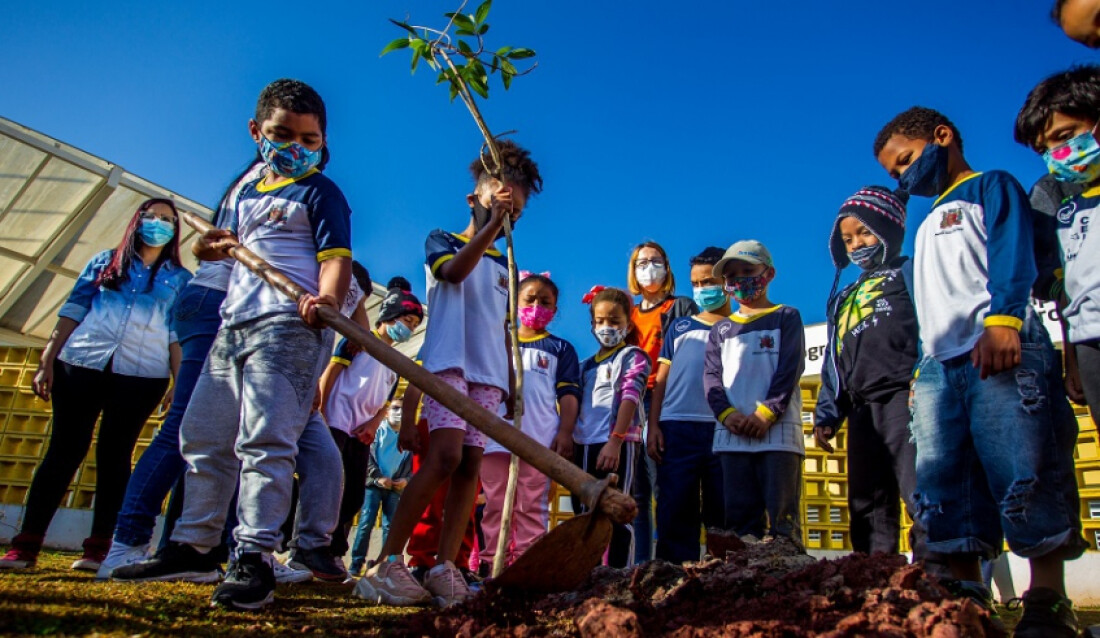 Dia da Árvore será comemorado com lançamento do Projeto Bosque das Crianças