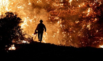 Metodologia com IA identifica focos de incêndio com antecedência