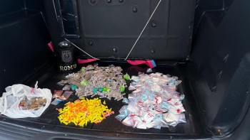 Patrulhamentos resultam na localização de entorpecentes