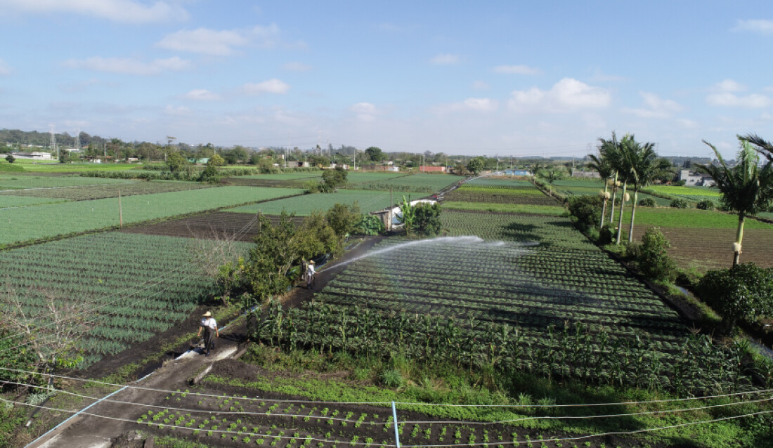 Onda de calor gera alerta na produção agrícola no Alto Tietê
