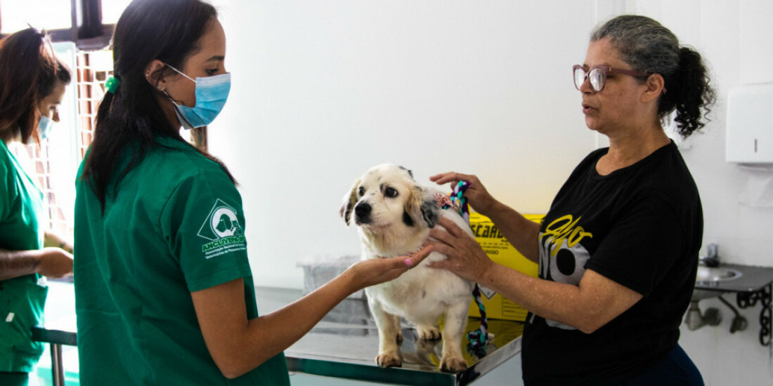 Clínica Veterinária realizoumais de 2 mil procedimentos