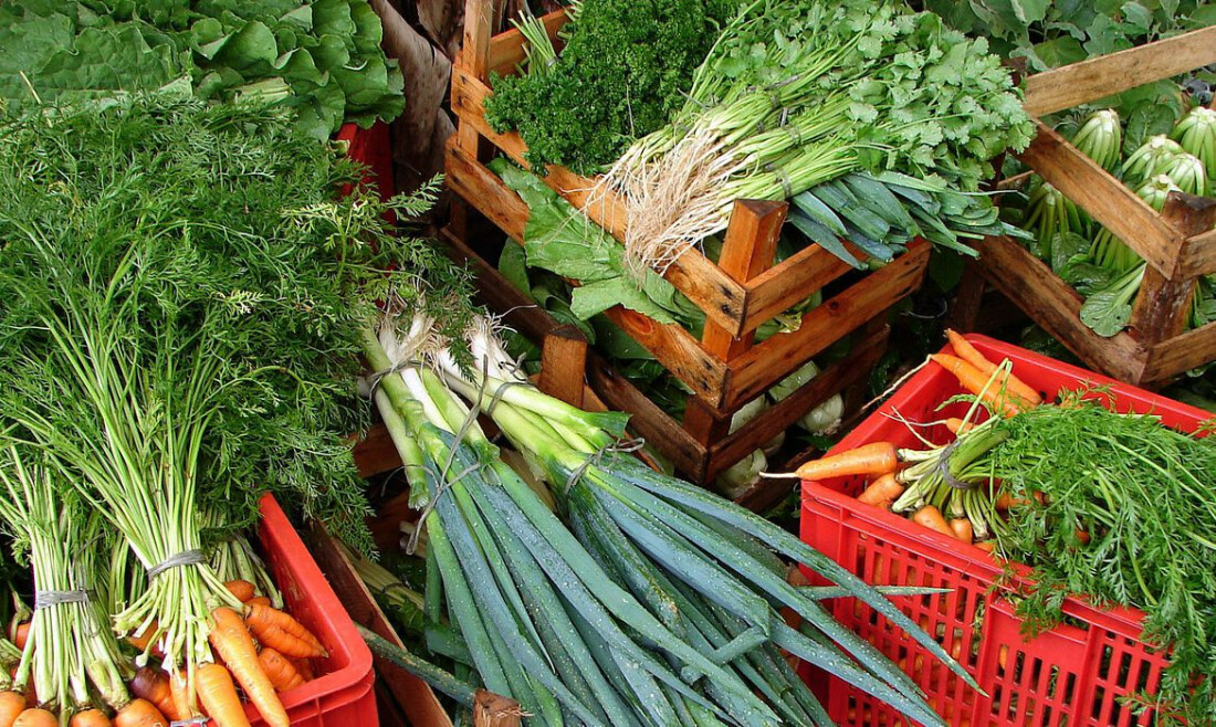 Guiana destaca papel do Brasil na criação de hub regional de alimentos