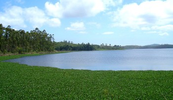 Duas das cinco represas do Alto Tietê apresentam aumento no volume