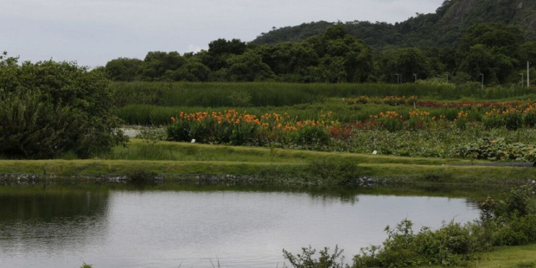 Novo parque em Niterói busca melhorar água e vegetação de lagoa