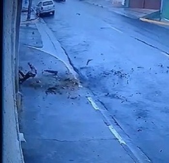 Câmera de monitoramento registra queda de galhos de árvore em bairro de Mogi