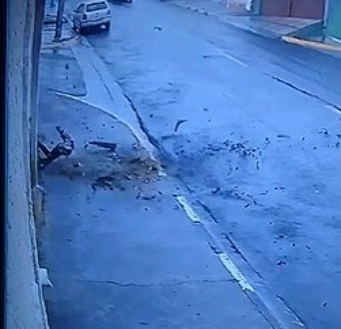 Câmera de monitoramento registra queda de galhos de árvore em bairro de Mogi