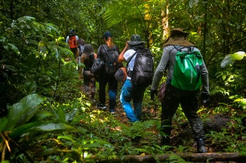 Prefeitura de Bertioga alerta sobre riscos de realizar trilhas sem condutores de turismo autorizados