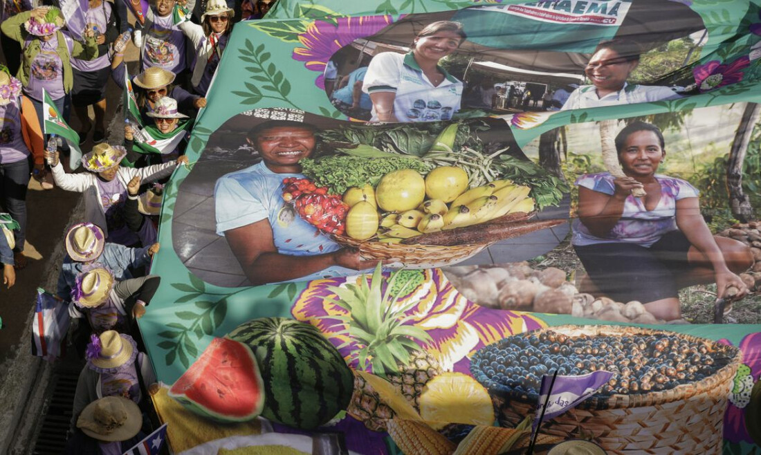 Hoje é Dia: semana tem luta das mulheres rurais e combate à transfobia