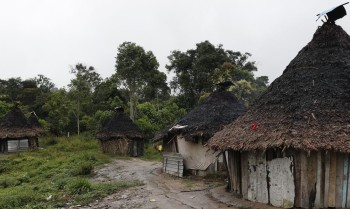 Representantes da corte interamericana visitarão TI Yanomami
