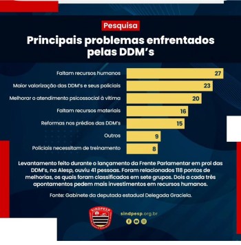 Pesquisa mostra falta de policiais como maior desafio das DDMs de SP 