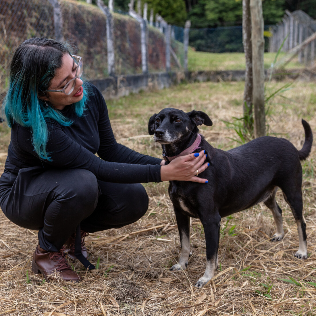 1ª CãoMinhada de Guararema recebe inscrições até sexta-feira (27)