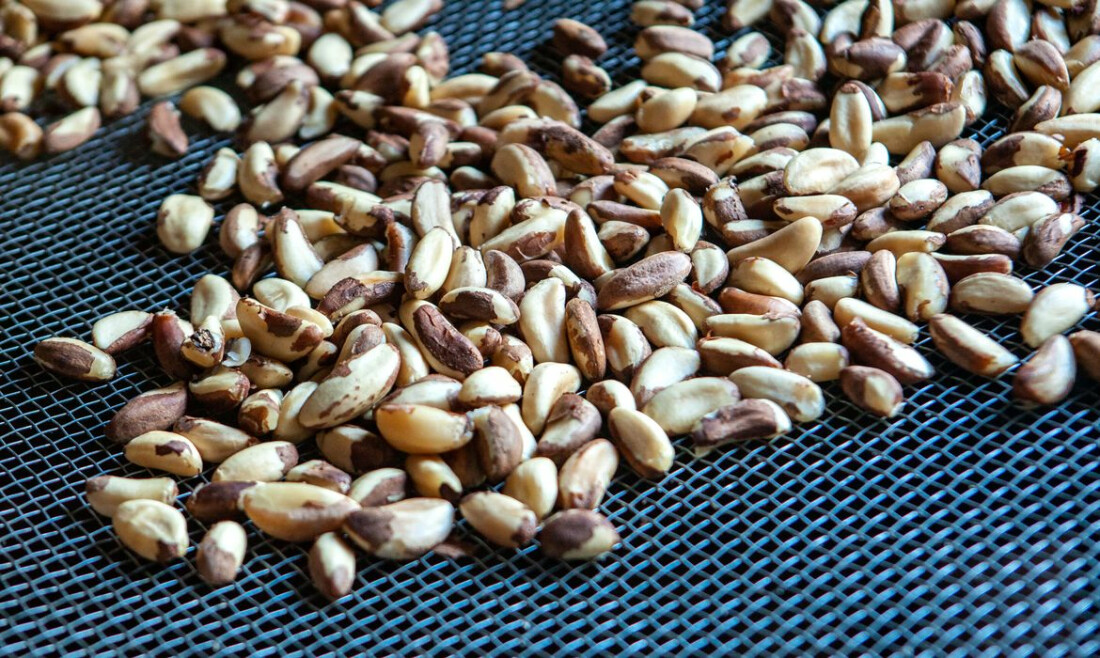 Contribuições podem ser enviadas até 22 de novembro