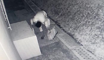 COI flagra invasão a escola e GCM de Mogi prende acusado de tentativa de furto