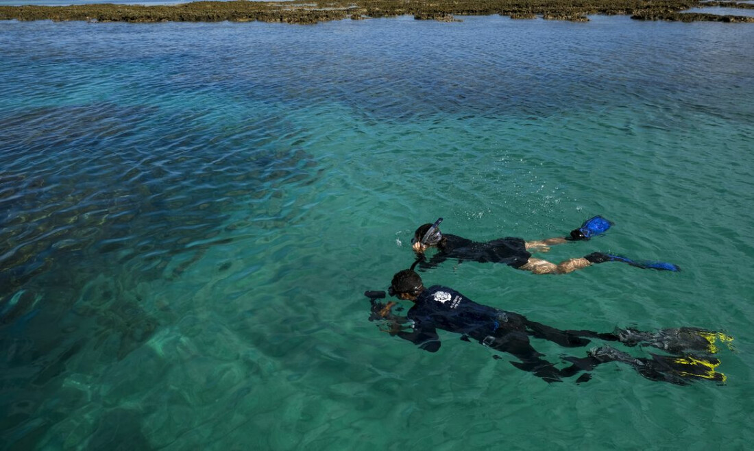 Área de Proteção Ambiental