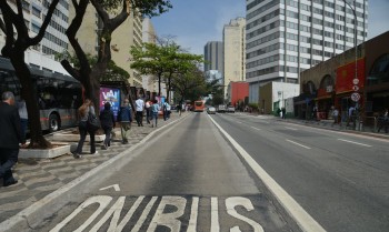 Parques e bibliotecas