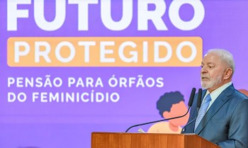 Entenda a lei