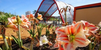 Serviços essenciais funcionam no feriado