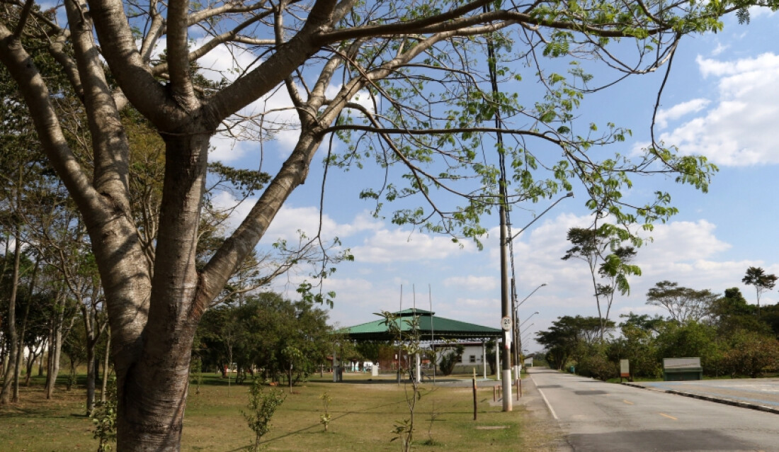 Trilhas de parques de Mogi das Cruzes estão interditadas 