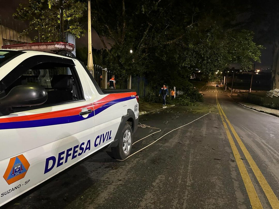 Mulher de 42 anos morre em Suzano após queda de árvore 