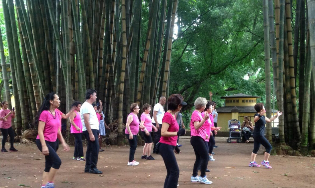 Políticas públicas