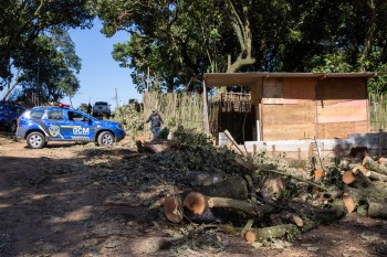 Itaquá descobre formação de loteamento clandestino e prende quatro pessoas