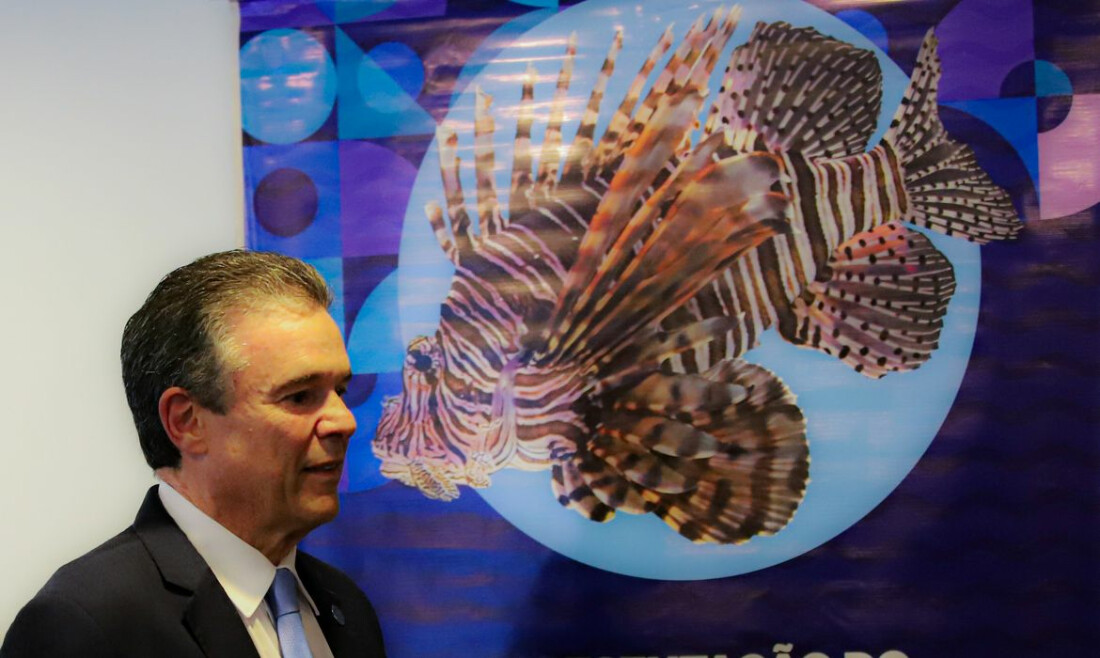 Possíveis soluções