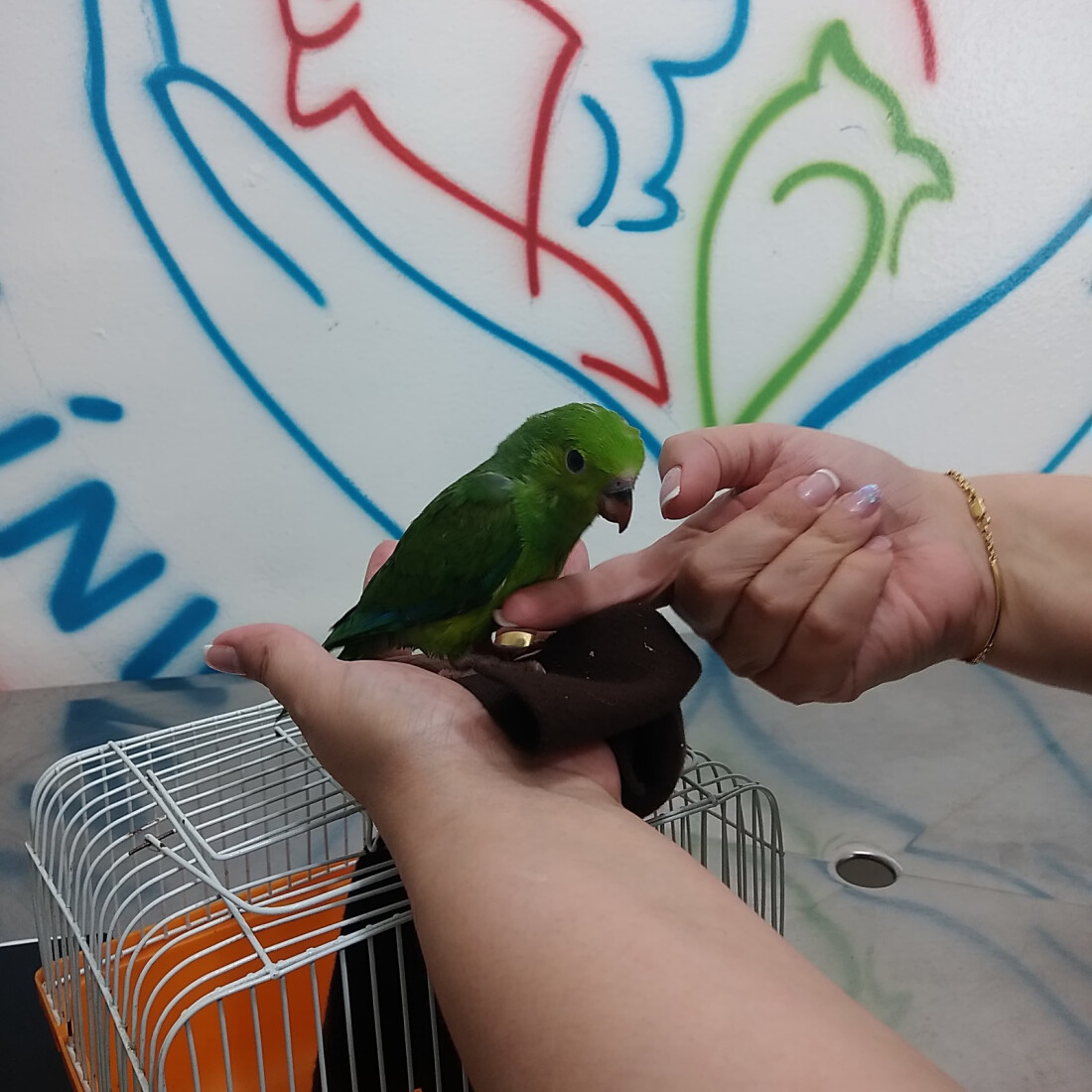 GCM impede movimentação irregular de terra após receber denúncia