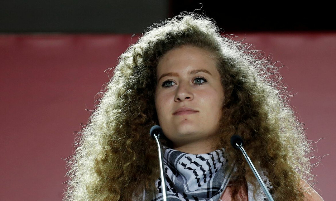 Anistia Internacional  