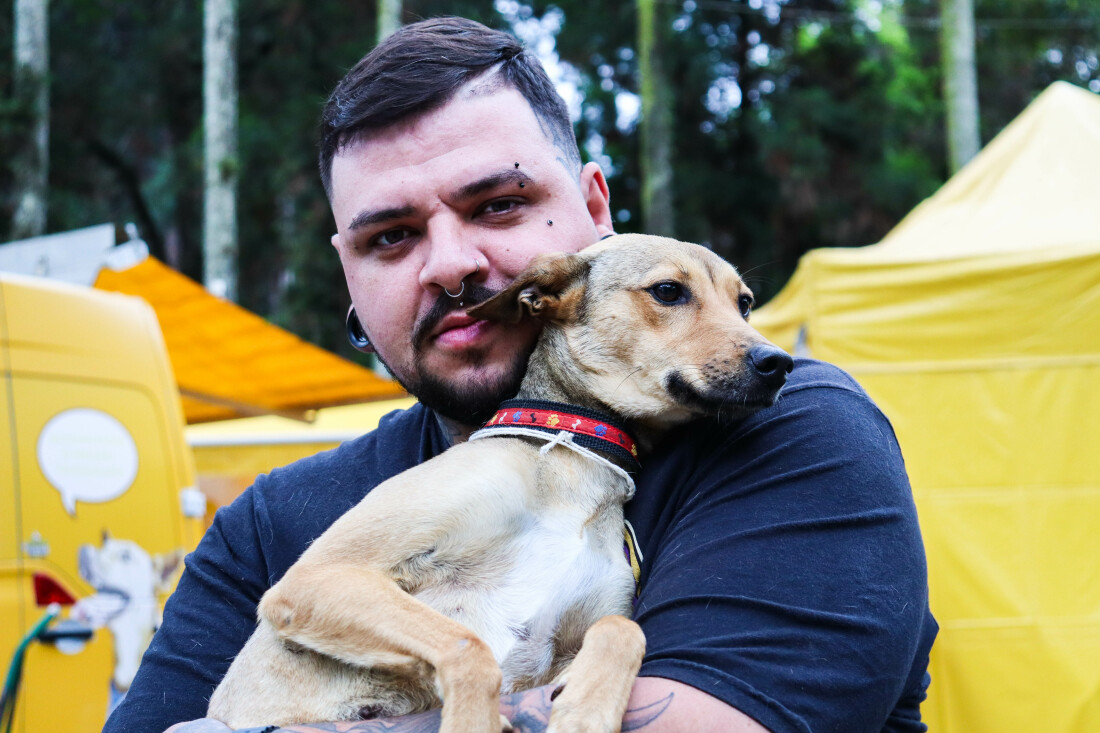 Ferraz terá inscrições para castração gratuita de cães e gatos