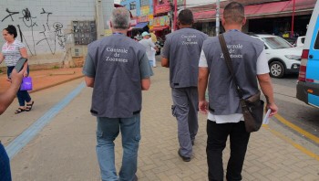 Casos de dengue caem 16% na região em um ano