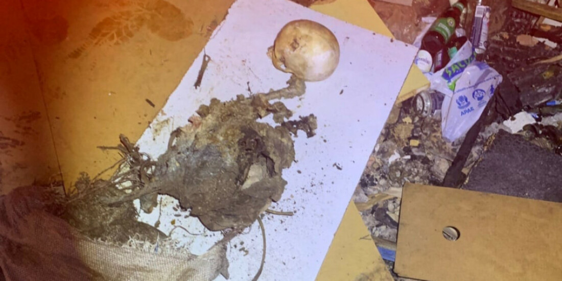 Moradores de Suzano encontram crânio humano