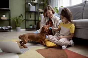 Pets em apartamento: confira dicas para ter um ambiente pet friendly