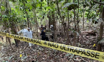 Crime organizado