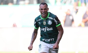 Flamengo vivo